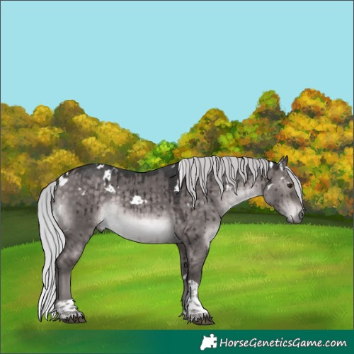 Horse Color:Platinum White Spotted Silver Brown Dun Tobiano Brindle 