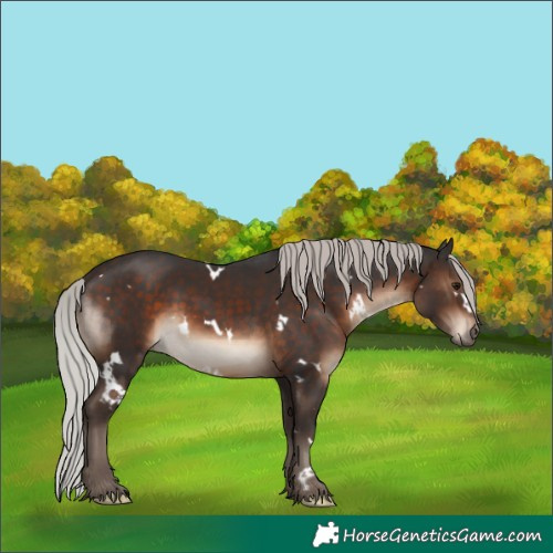 Horse Color:White Spotted Silver Brown 