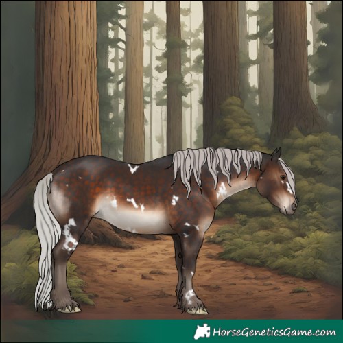 Horse Color:White Spotted Silver Brown 