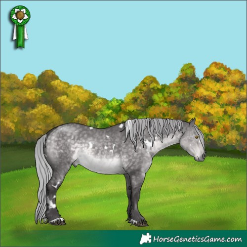 Horse Color:Platinum White Spotted Silver Buckskin Dun 