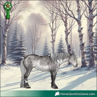 Horse Color:Platinum White Spotted Silver Buckskin Dun Brindle 