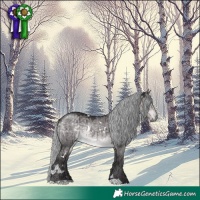 Horse Color:Platinum White Spotted Silver Buckskin Dun Brindle 