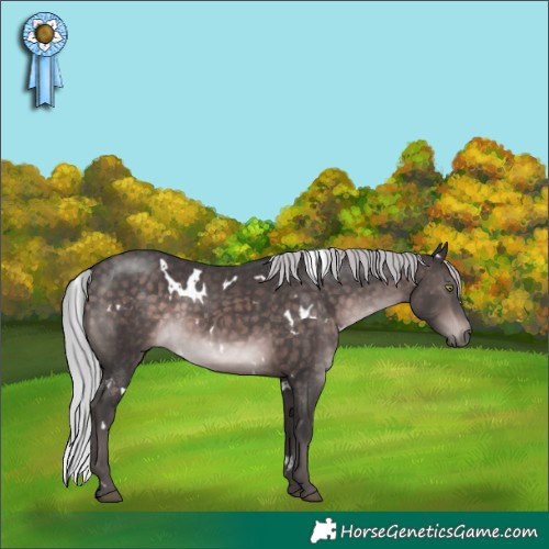 Horse Color:Platinum White Spotted Silver Brown 
