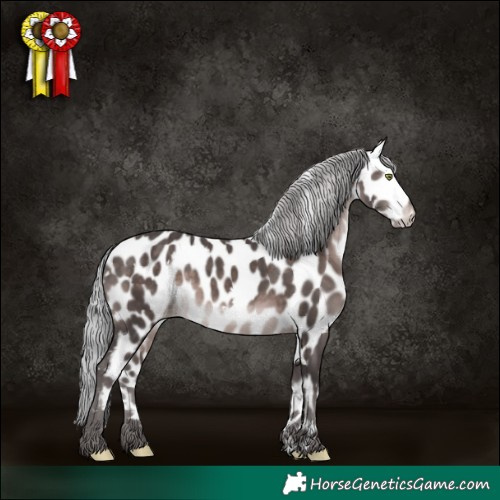 Horse Color:Platinum White Spotted Silver Brown Leopard 