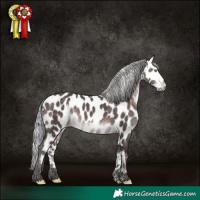 Horse Color:Platinum White Spotted Silver Brown Leopard 