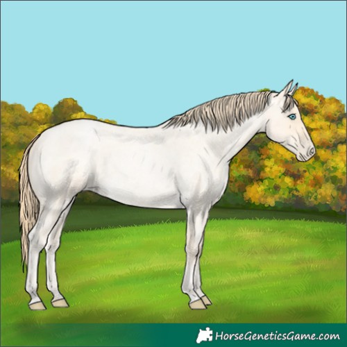 Horse Color:Buckskin Roan Pearl and Buckskin Roan Pearl