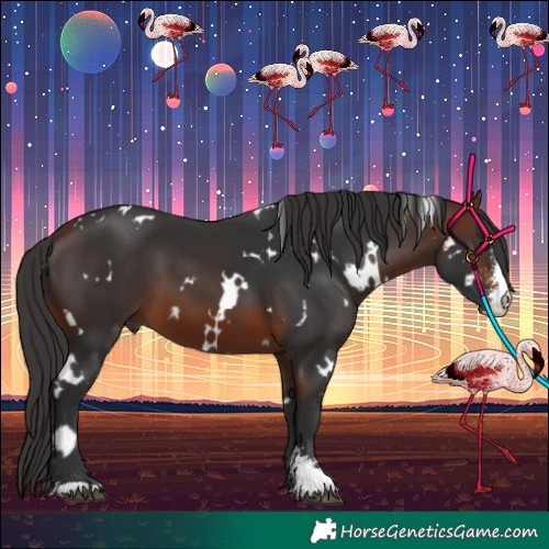 Horse Color:White Spotted Brown Sabino