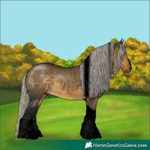 Horse Color:Gray Void Silver Buckskin Dun Tobiano