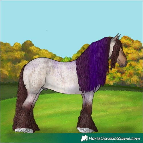 Horse Color:Gray Chocolate Brown Roan Dun Brindle 