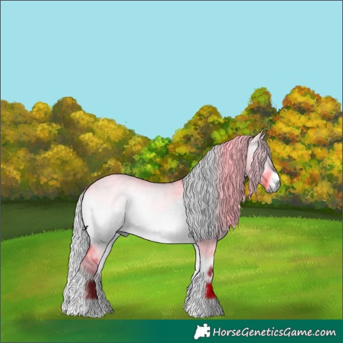 Horse Color:Silver Brown Chinchilla Roan Onyx 