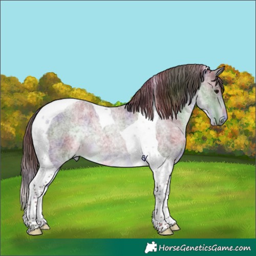 Horse Color:Platinum Nacre Chocolate Buckskin Roan Tobiano 