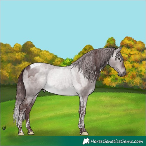 Horse Color:Platinum Chocolate Brown Dun Tobiano 