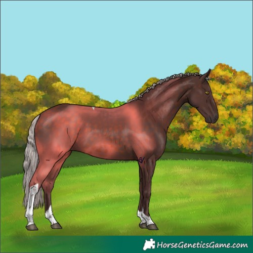Horse Color:Chocolate Silver Brown Tobiano 