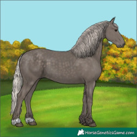 Horse Color:Silver Black 