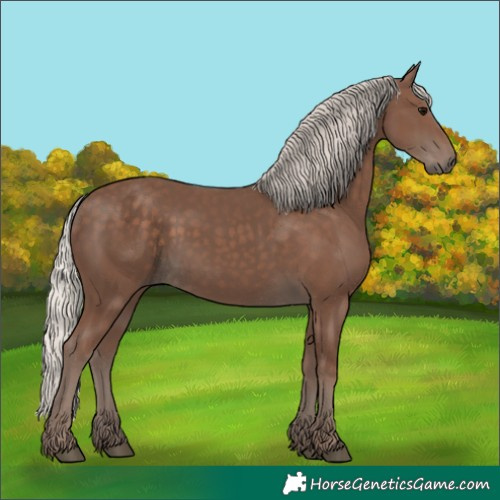 Horse Color:Silver Black 
