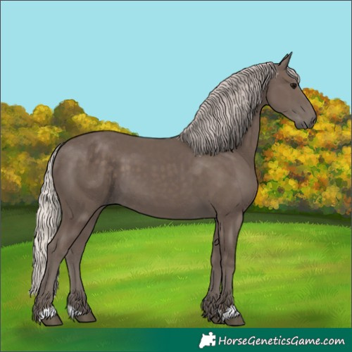 Horse Color:Silver Black 