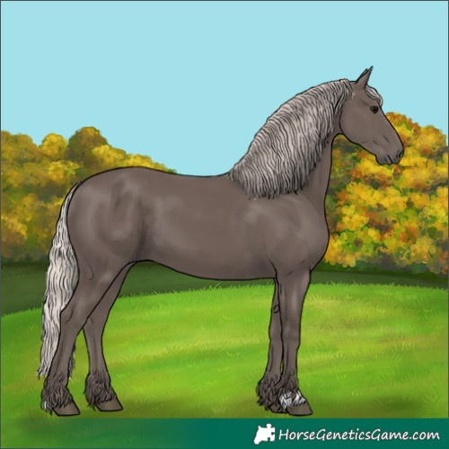 Horse Color:Silver Black 