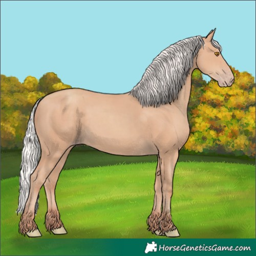 Horse Color:Silver Classic Champagne 