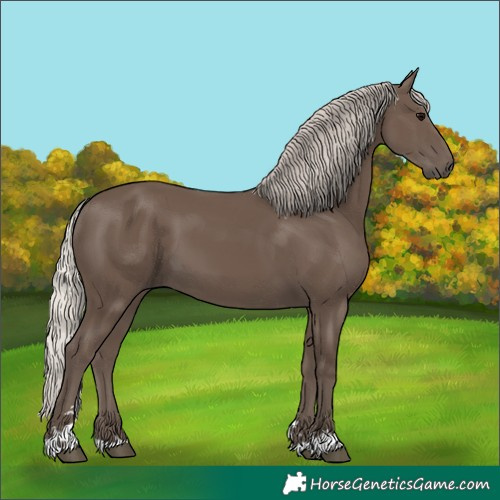 Horse Color:Silver Black 