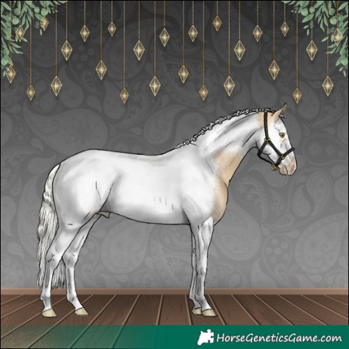 Horse Color:Silver Buckskin Dun Splash Tobiano Frame Appaloosa Rabicano 