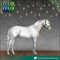 Horse Color:Silver Buckskin Dun Splash Tobiano Frame Appaloosa Rabicano 