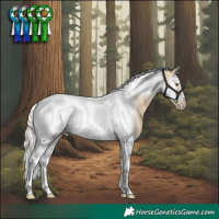 Horse Color:Silver Buckskin Dun Splash Tobiano Frame Appaloosa Rabicano
