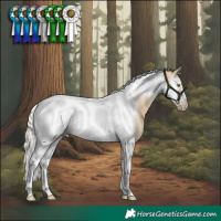 Horse Color:Silver Buckskin Dun Splash Tobiano Frame Varnish Rabicano 