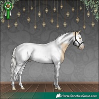 Horse Color:Silver Buckskin Dun Splash Tobiano Frame Appaloosa Rabicano