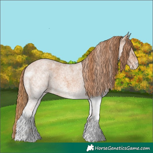 Horse Color:White Spotted Red Roan