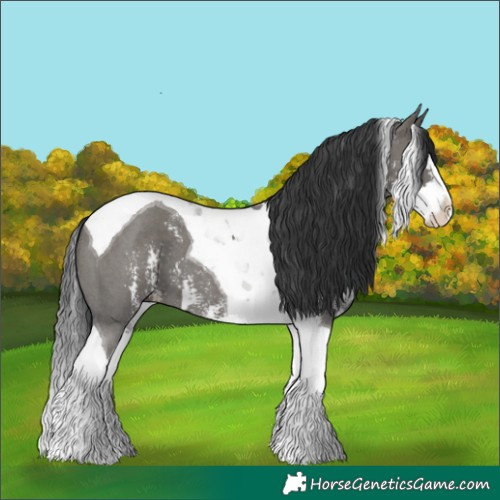 Horse Color:Grullo Sabino Splash Tobiano