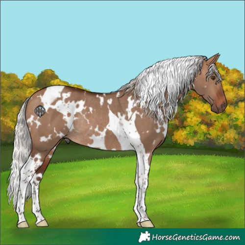 Horse Color:White Spotted Silver Brown Dun Tobiano Rabicano 