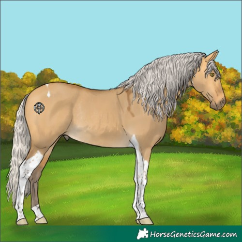 Horse Color:Silver Buckskin Dun Tobiano Rabicano