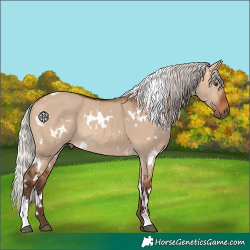 Horse Color:White Spotted Silver Brown Dun Rabicano 