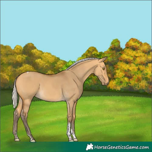 Horse Color:Silver Buckskin Dun Tobiano Rabicano 