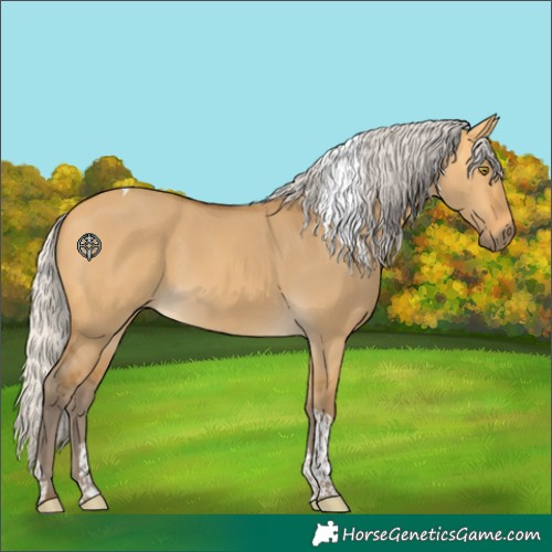 Horse Color:Silver Buckskin Dun Tobiano Rabicano