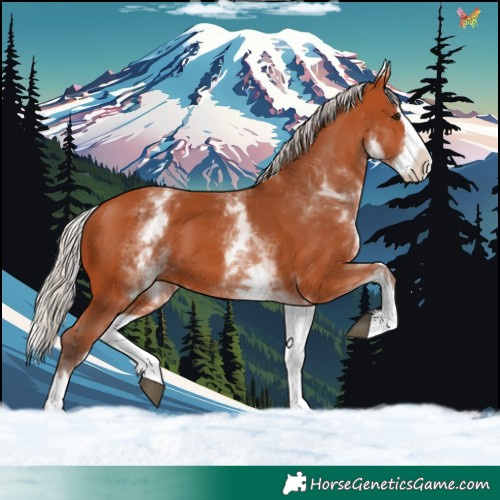 Horse Color:White Spotted Silver Bay Splash