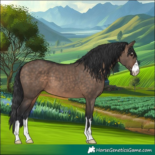 Horse Color:Brown Dun 