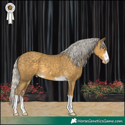 Horse Color:Silver Classic Cream Champagne 