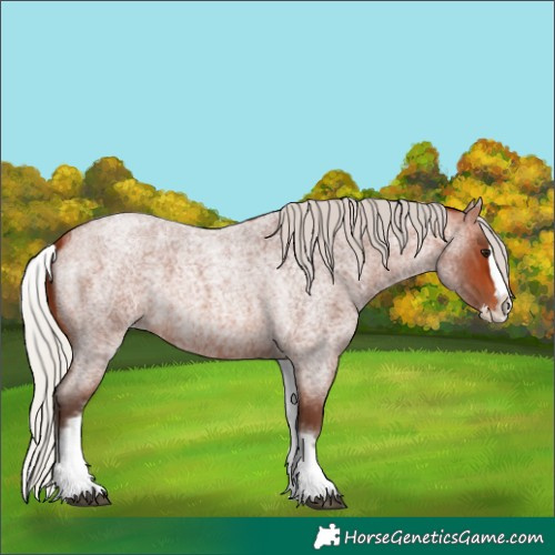 Horse Color:White Spotted Silver Bay Roan Splash 