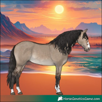 Horse Color:Brown Dun