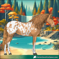 Horse Color:White Spotted Chestnut Near Leopard 