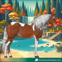 Horse Color:Silver Bay Tobiano 