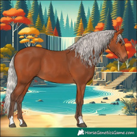 Horse Color:Silver Bay 