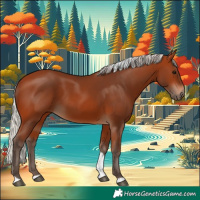 Horse Color:Silver Bay Tobiano