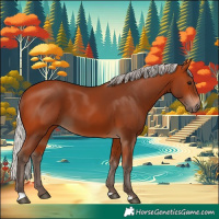 Horse Color:Silver Bay