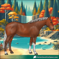 Horse Color:Silver Bay Tobiano