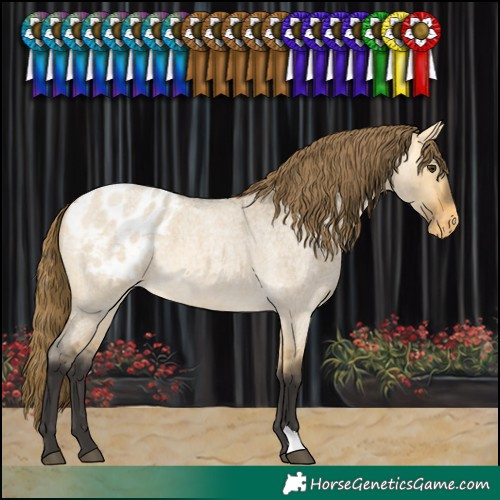 Horse Color:Buckskin Roan Dun Blanket