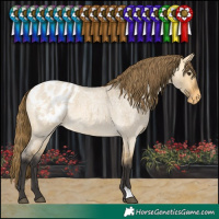 Horse Color:Buckskin Roan Dun Blanket