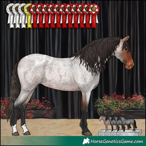 Horse Color:Bay Roan Blanket 