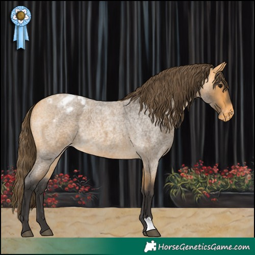 Horse Color:Buckskin Roan Blanket 